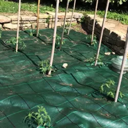 Proteggi il tuo orto e giardino con il nostro telo pacciamatura a rotolo, tagliabile su misura per bloccare le erbacce.